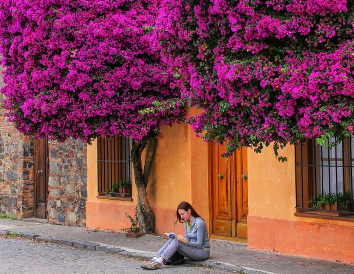 dar de alta luz casa antigua